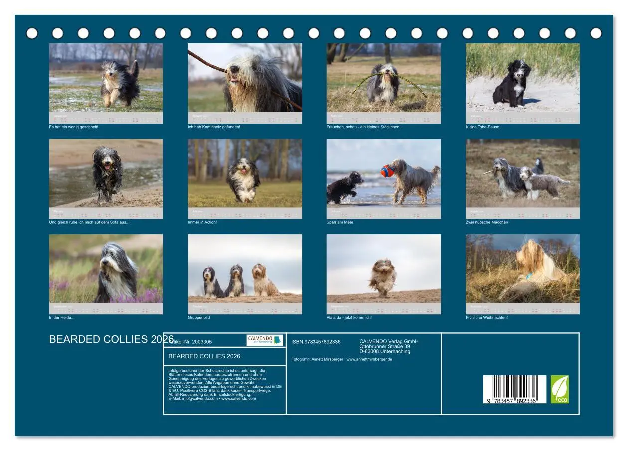 Bild: 9783457892336 | BEARDED COLLIES 2026 (Tischkalender 2026 DIN A5 quer), CALVENDO...