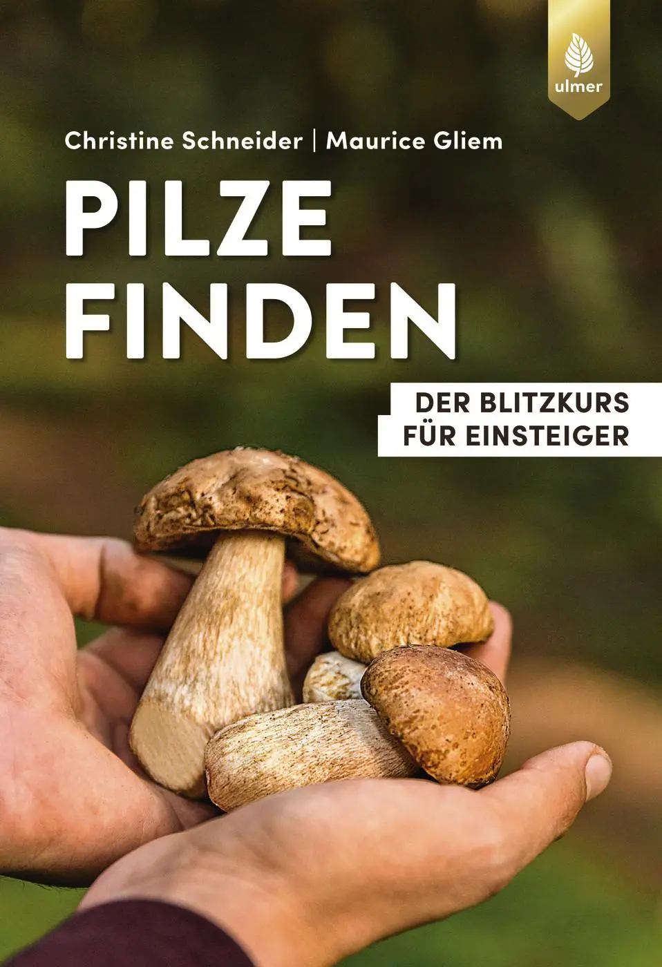 Cover: 9783818622336 | Pilze finden | Der Blitzkurs für Einsteiger | Schneider (u. a.) | Buch