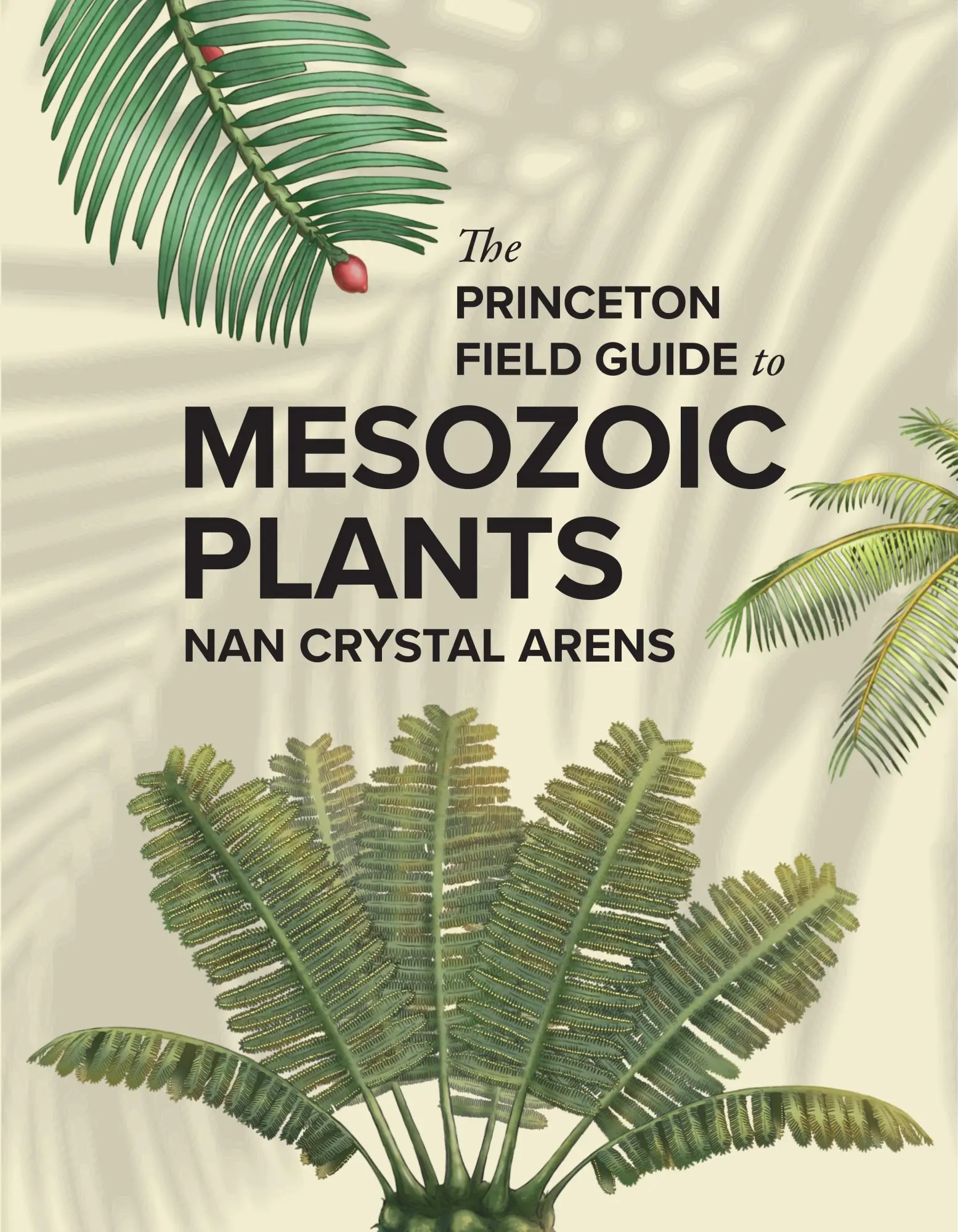 Cover: 9780691272436 | The Princeton Field Guide to Mesozoic Plants | Nan Crystal Arens