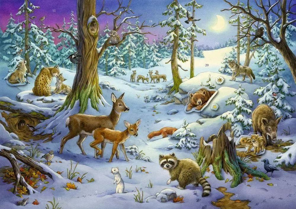 Cover: 4050003952536 | Tiere im Winterwald - Sticker-Adventskalender | Ute Simon | Kalender