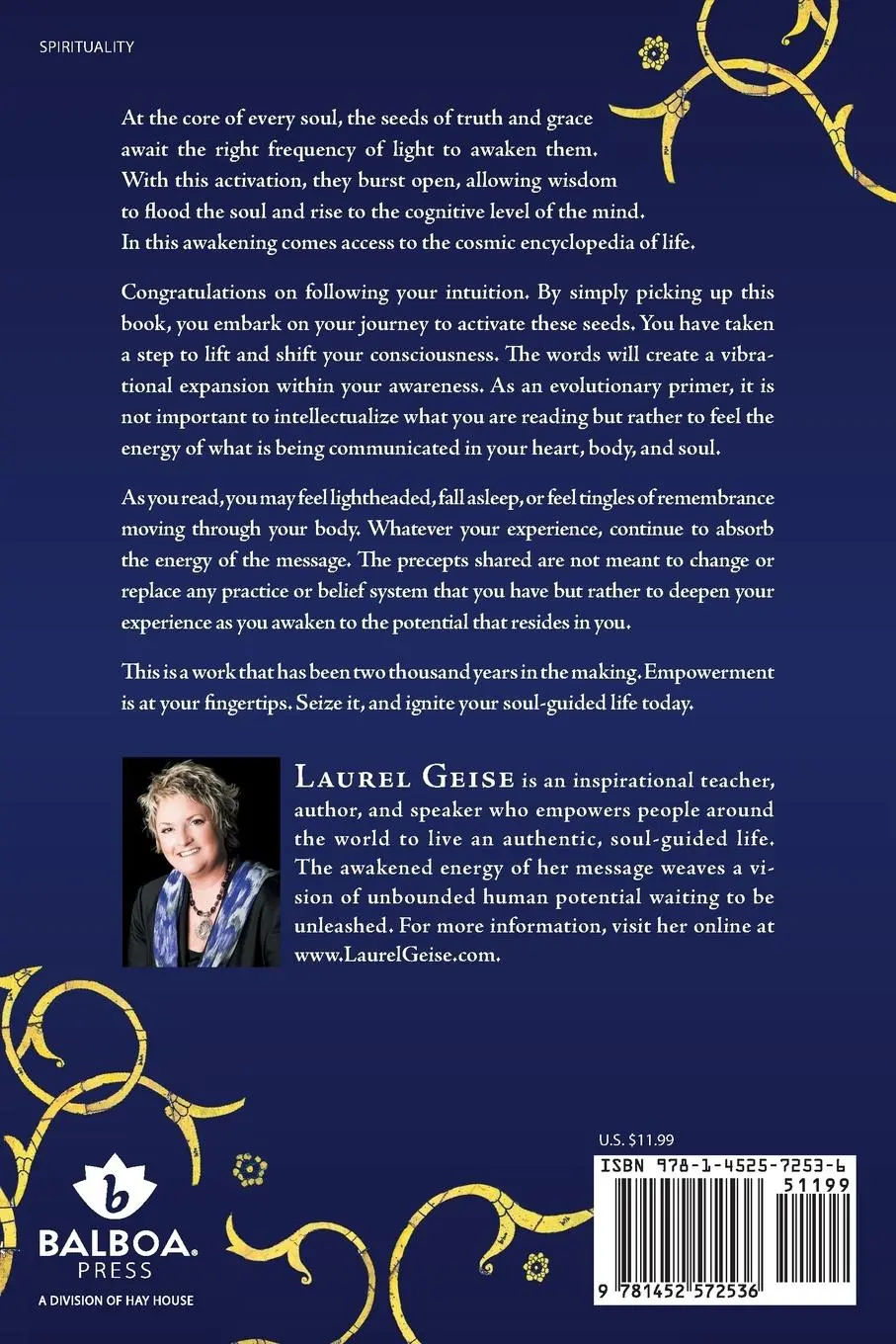 Rückseite: 9781452572536 | The Jesus Seeds | Igniting Your Soul-Guided Life | Laurel Geise | Buch