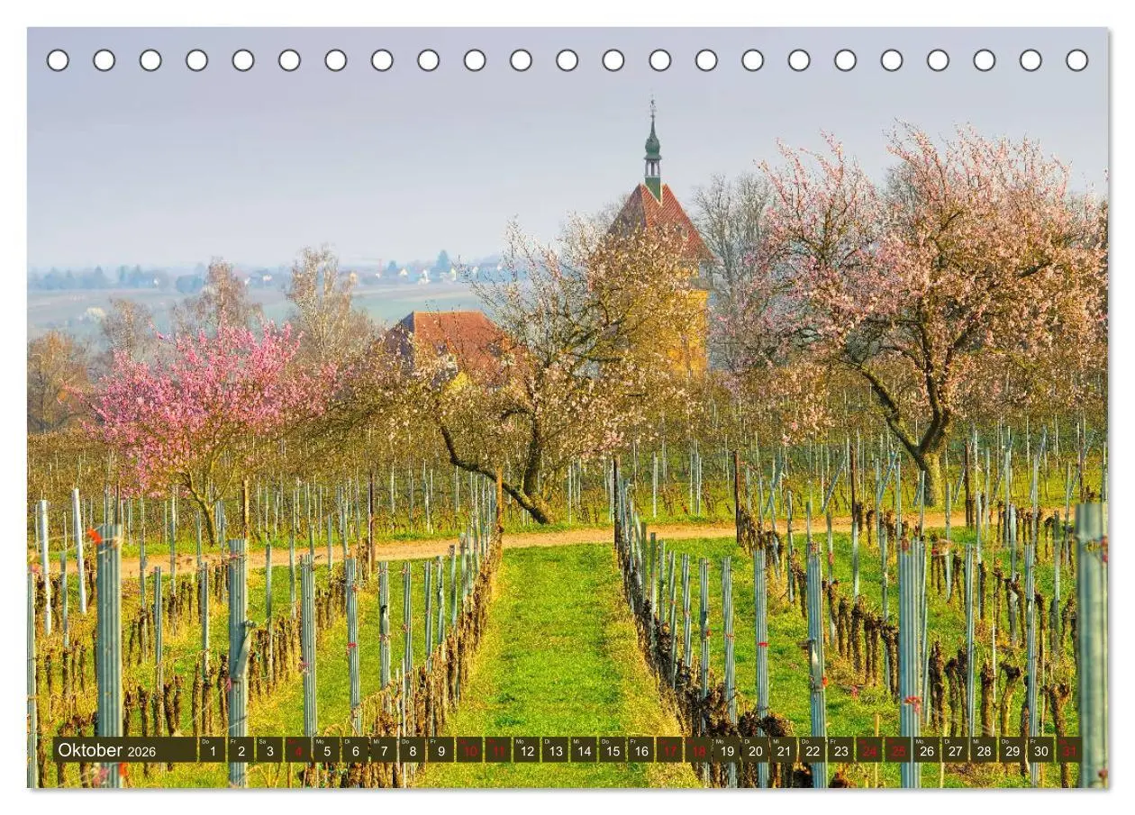 Bild: 9783457792636 | Mandelblütenzauber an der Deutschen Weinstraße (Tischkalender 2026...