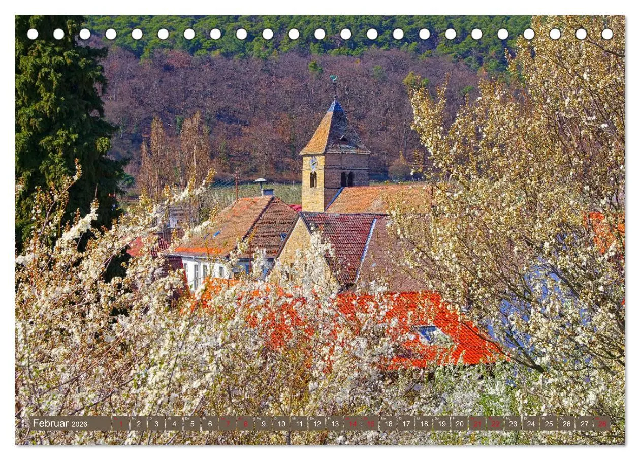 Bild: 9783457792636 | Mandelblütenzauber an der Deutschen Weinstraße (Tischkalender 2026...