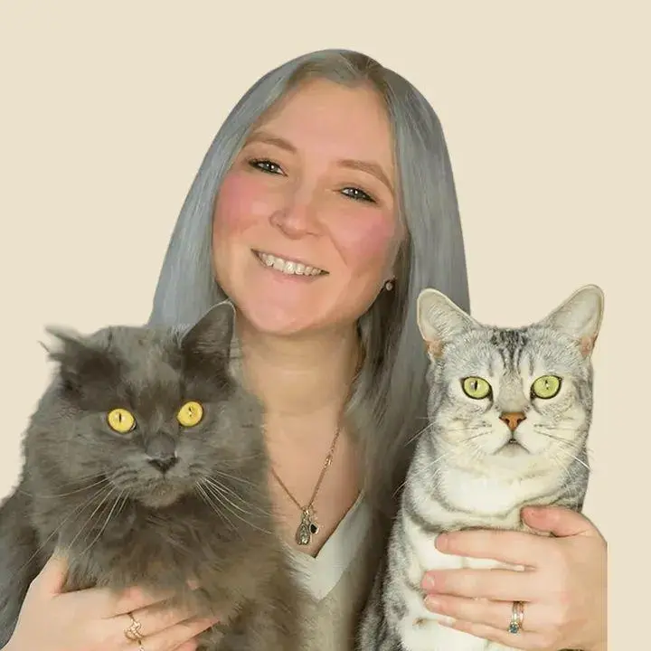 Autor: 9783989352636 | Total verkatert! Katzen-Knigge mit Apollo &amp; Cosmo | Tatjana Deglau
