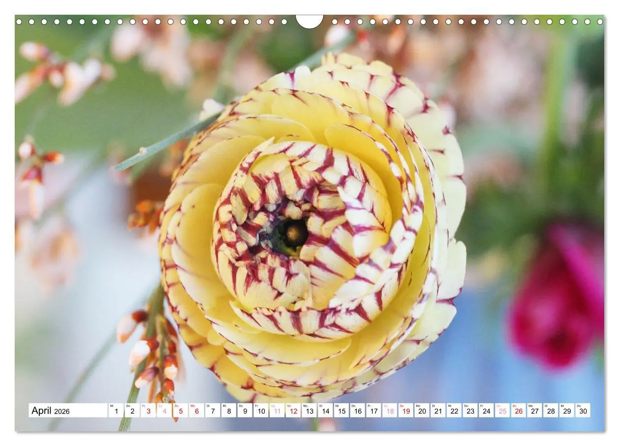 Bild: 9783457542736 | Blumenpracht - Blüten und Sträuße (Wandkalender 2026 DIN A3 quer),...