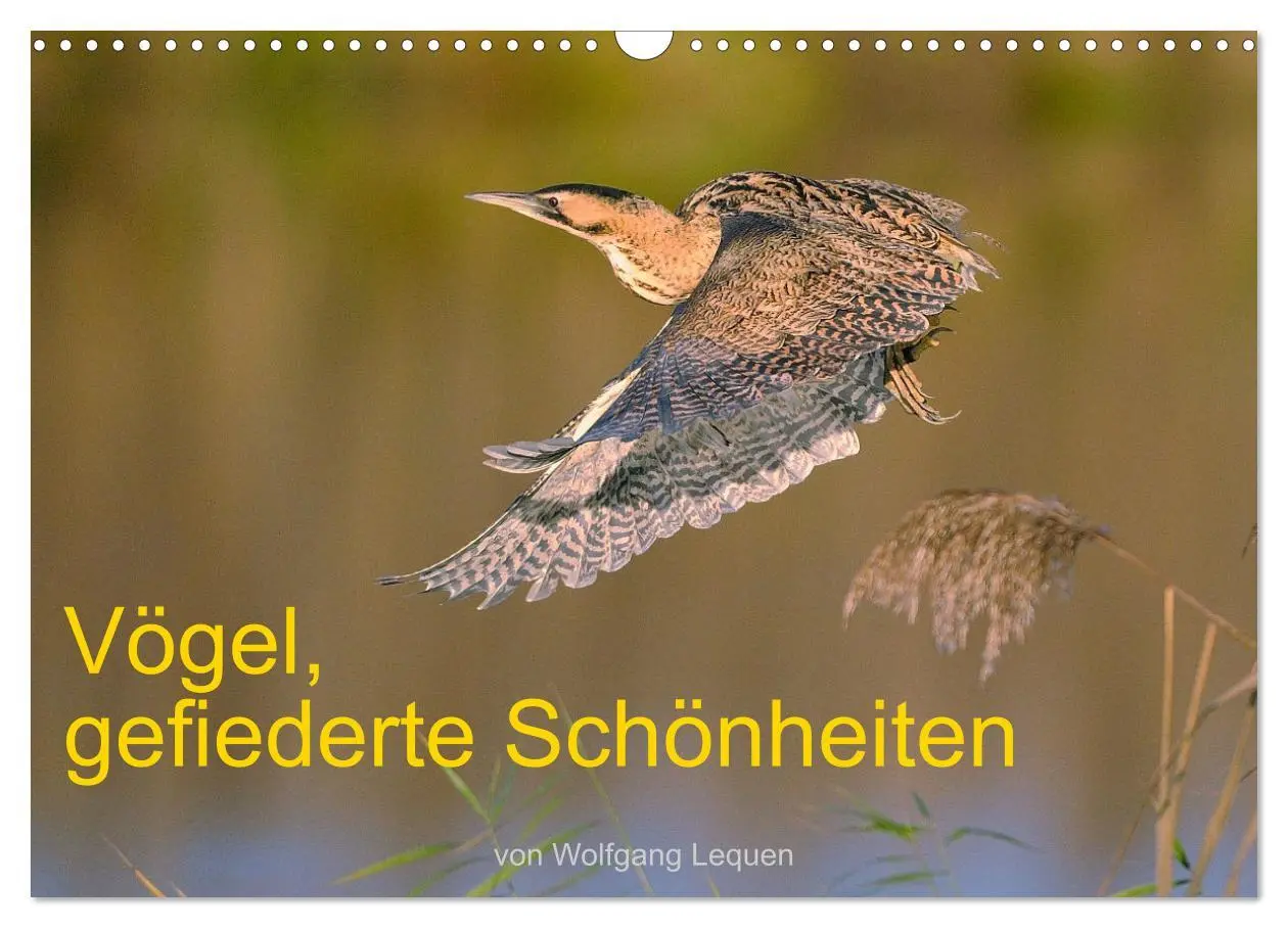 Cover: 9783457612736 | Vögel, Gefiederte Schönheiten (Wandkalender 2026 DIN A3 quer),...