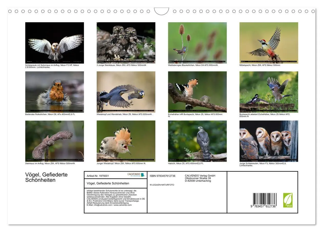 Bild: 9783457612736 | Vögel, Gefiederte Schönheiten (Wandkalender 2026 DIN A3 quer),...