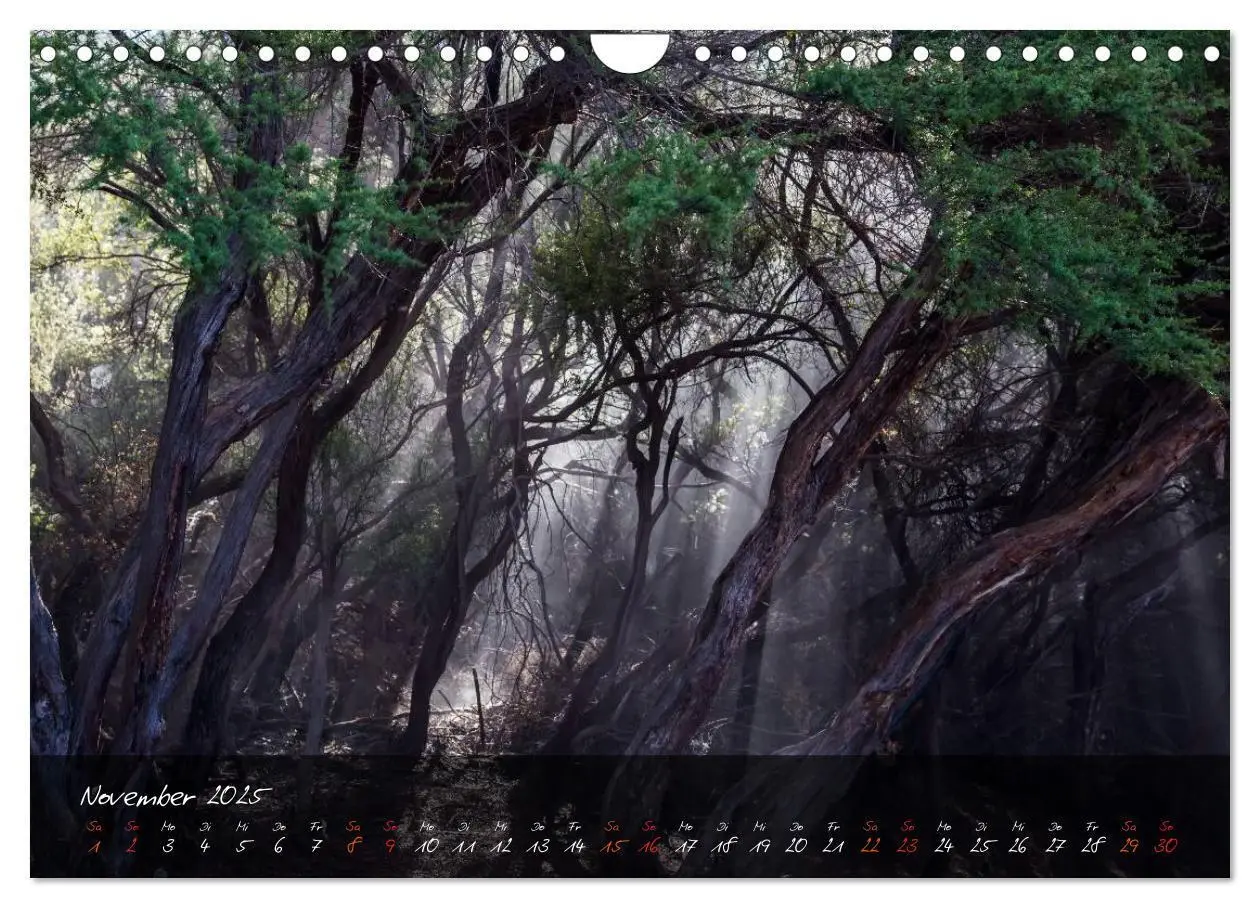 Bild: 9783435752836 | Neuseeland - Land der Maori (Wandkalender 2025 DIN A4 quer),...