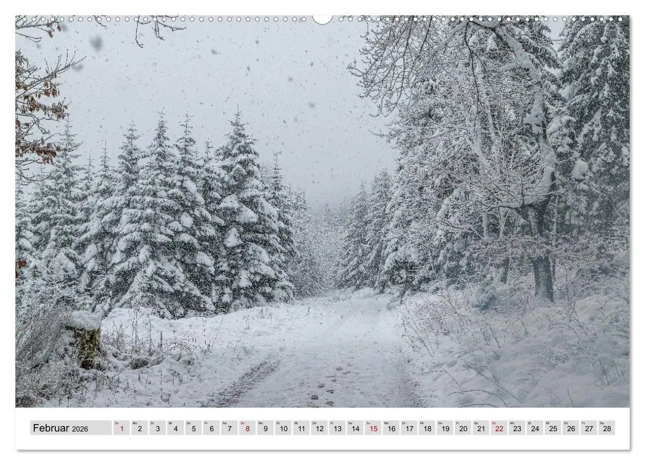 Bild: 9783457912836 | Sauerland - Land der tausend Berge (Wandkalender 2026 DIN A2 quer),...