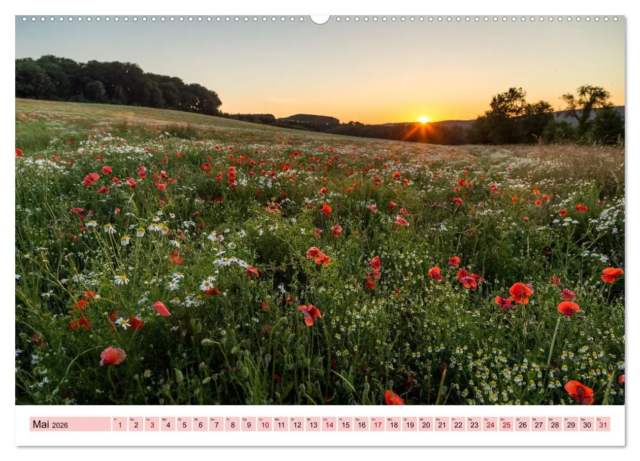 Bild: 9783457912836 | Sauerland - Land der tausend Berge (Wandkalender 2026 DIN A2 quer),...