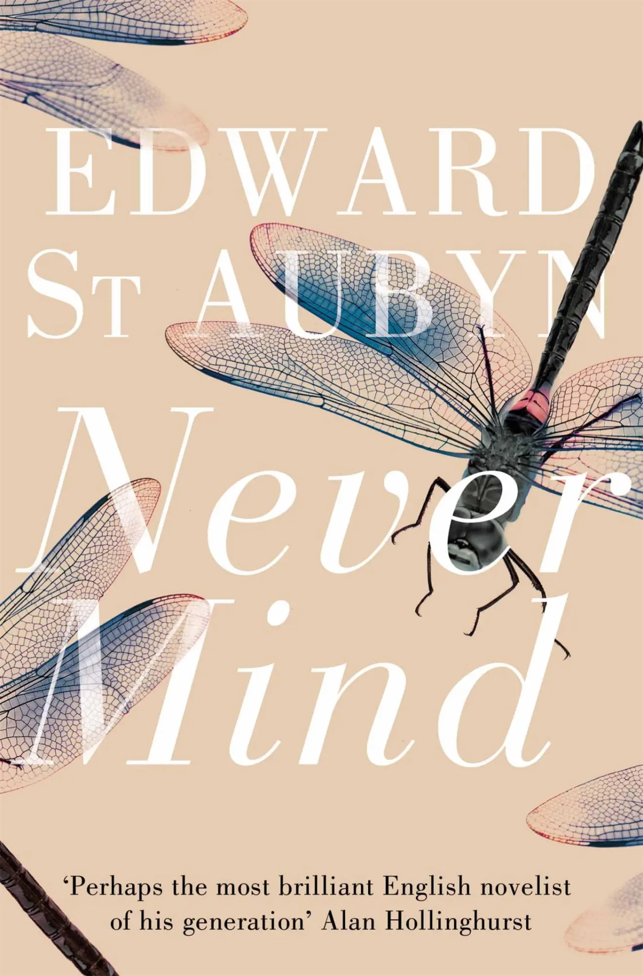 Cover: 9781447202936 | Never Mind | Edward St Aubyn | Taschenbuch | 198 S. | Englisch | 2012