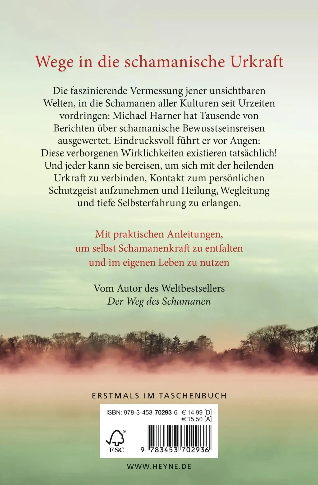 Bild: 9783453702936 | Die Wirklichkeit des Schamanen | Michael Harner | Taschenbuch | 480 S.