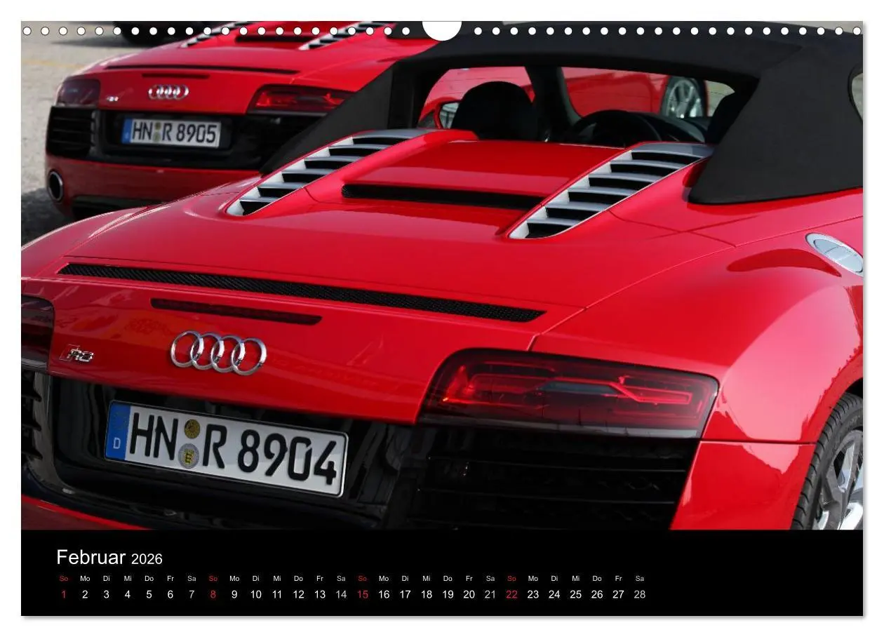 Bild: 9783516232936 | Vollblut-Sportler (Wandkalender 2026 DIN A3 quer), CALVENDO...