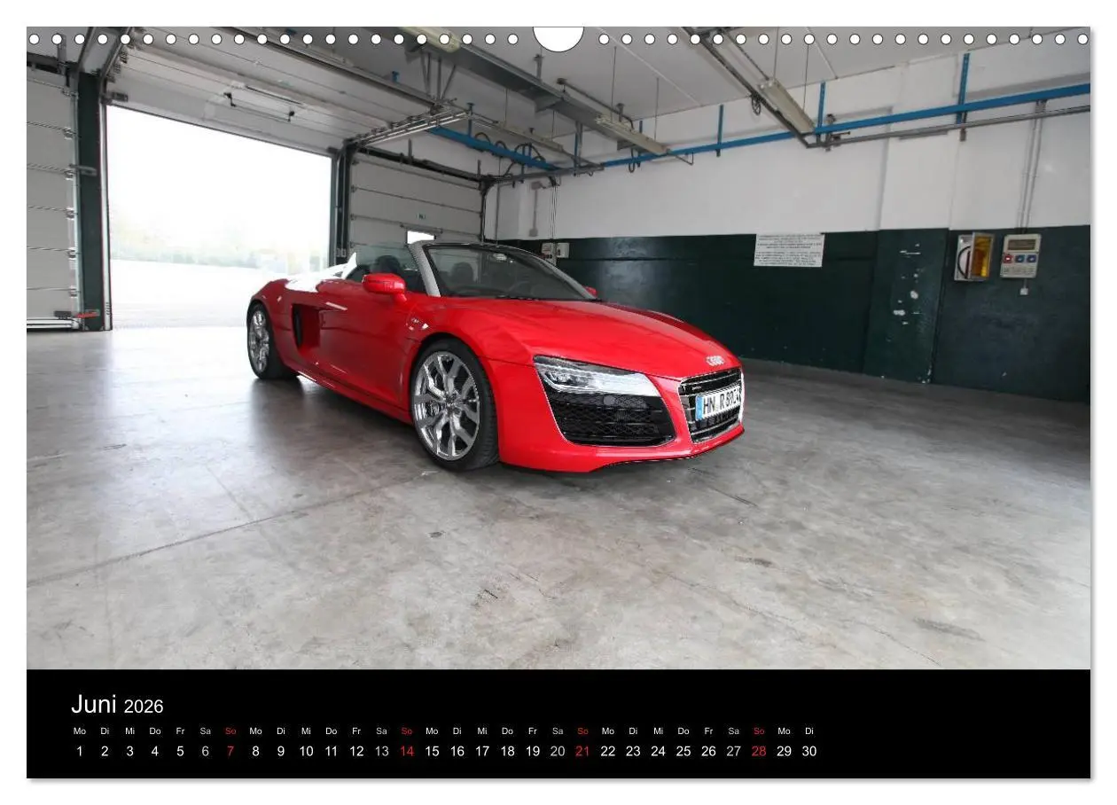 Bild: 9783516232936 | Vollblut-Sportler (Wandkalender 2026 DIN A3 quer), CALVENDO...