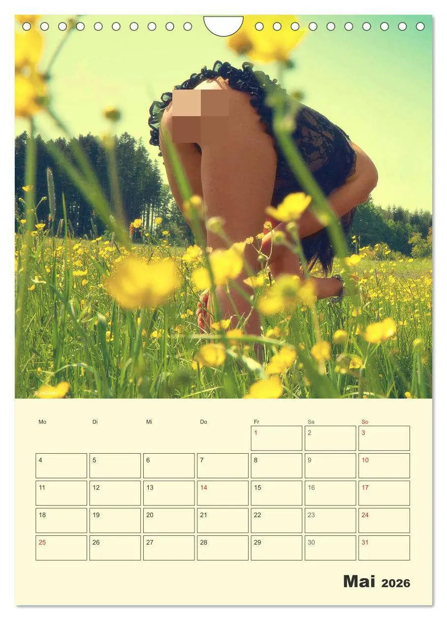 Bild: 9783516472936 | Das Runde im Eckigen / Planer (Wandkalender 2026 DIN A4 hoch),...