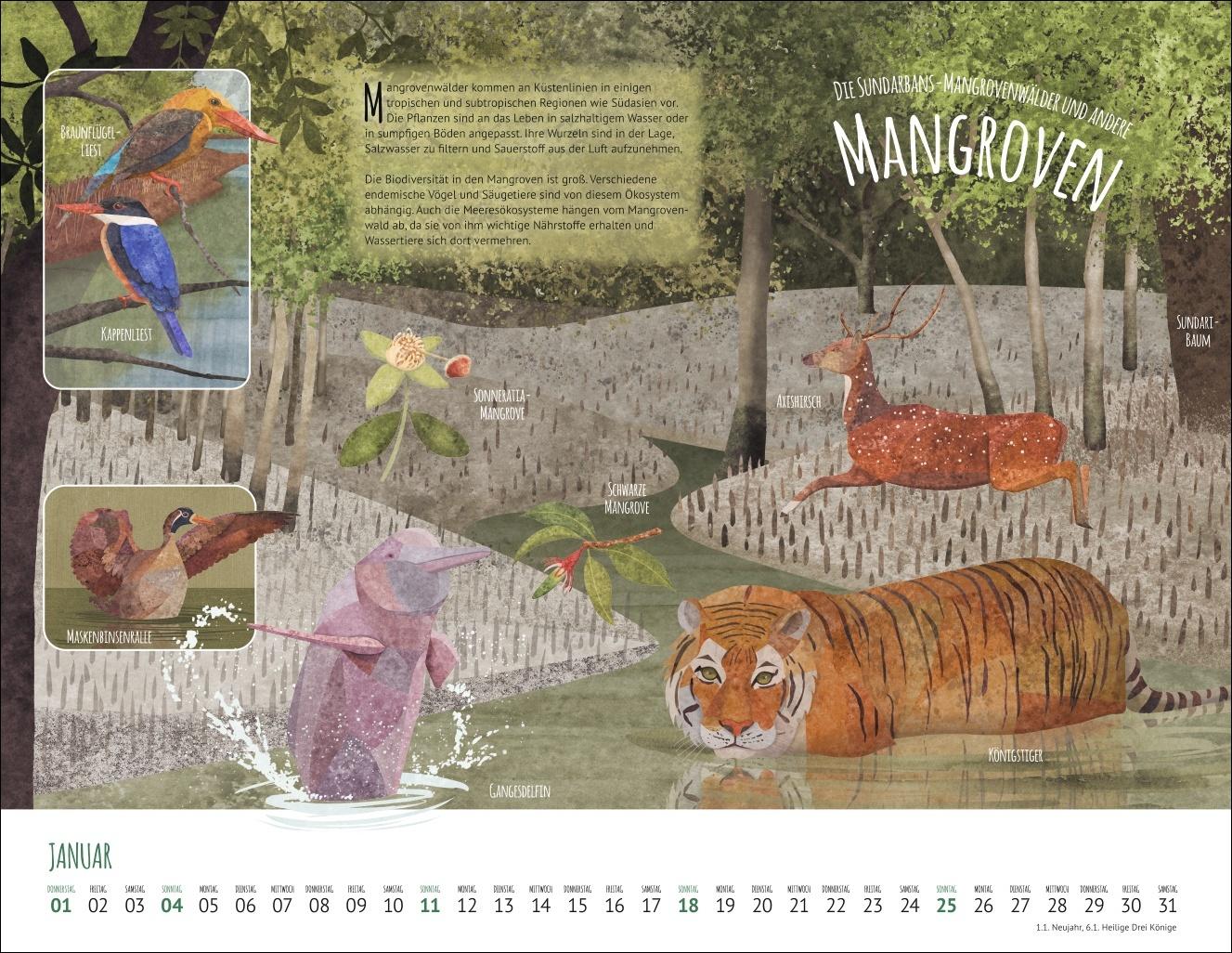 Bild: 9783839902936 | Wo Tiere und Pflanzen zu Hause sind Kalender 2026 - Biome der Welt