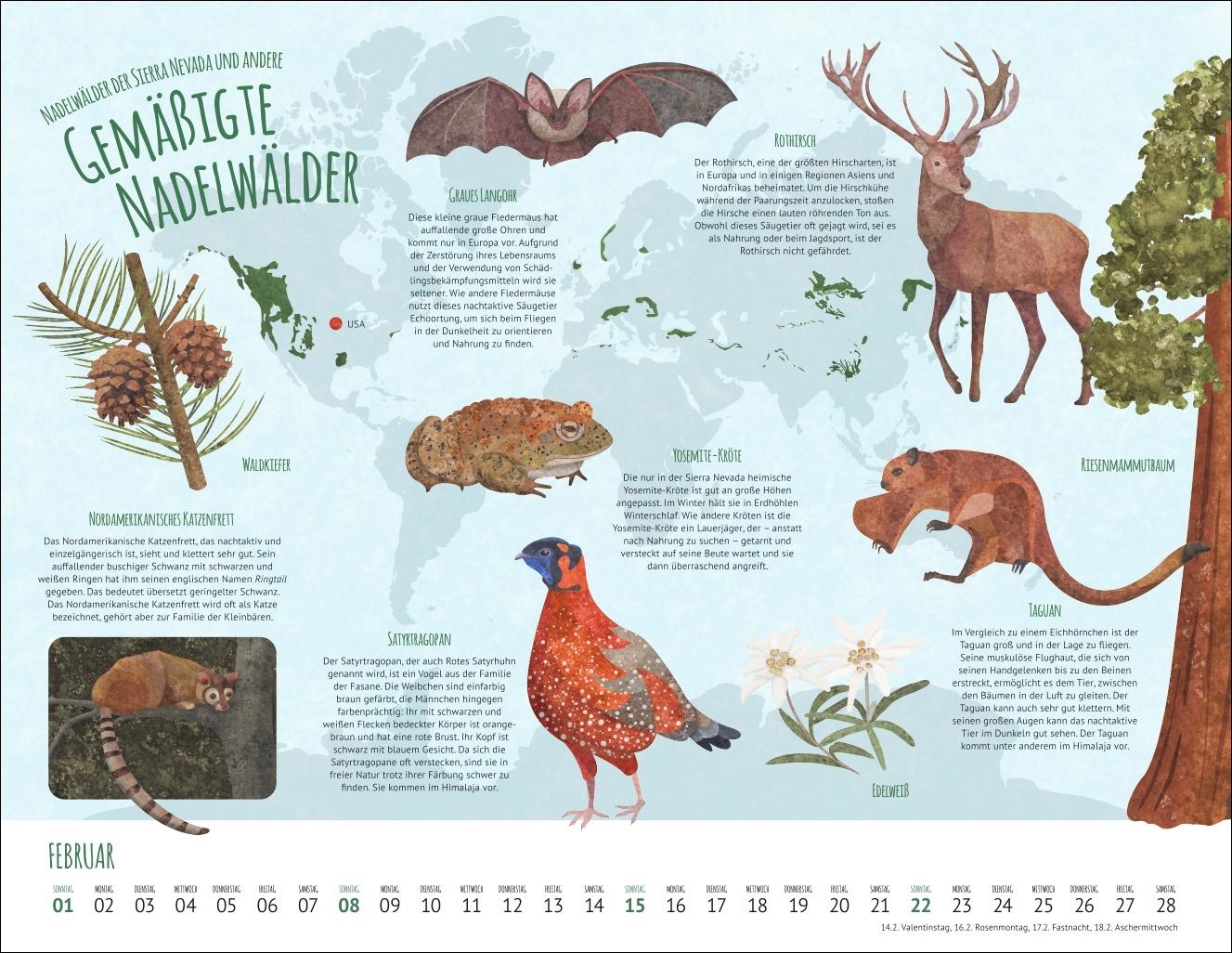 Bild: 9783839902936 | Wo Tiere und Pflanzen zu Hause sind Kalender 2026 - Biome der Welt