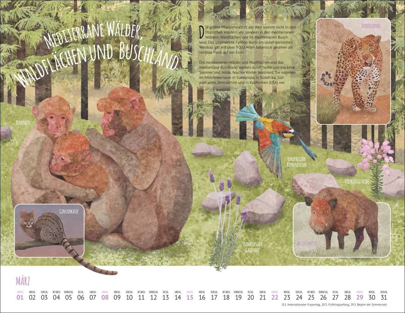 Bild: 9783839902936 | Wo Tiere und Pflanzen zu Hause sind Kalender 2026 - Biome der Welt