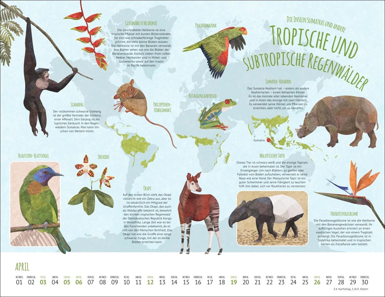 Bild: 9783839902936 | Wo Tiere und Pflanzen zu Hause sind Kalender 2026 - Biome der Welt