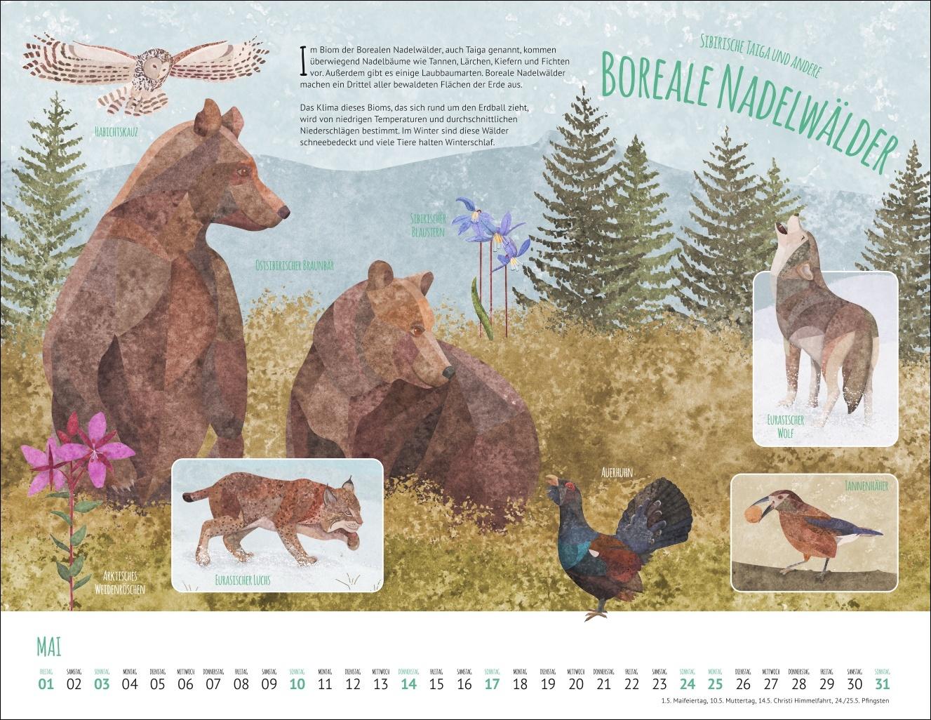 Bild: 9783839902936 | Wo Tiere und Pflanzen zu Hause sind Kalender 2026 - Biome der Welt