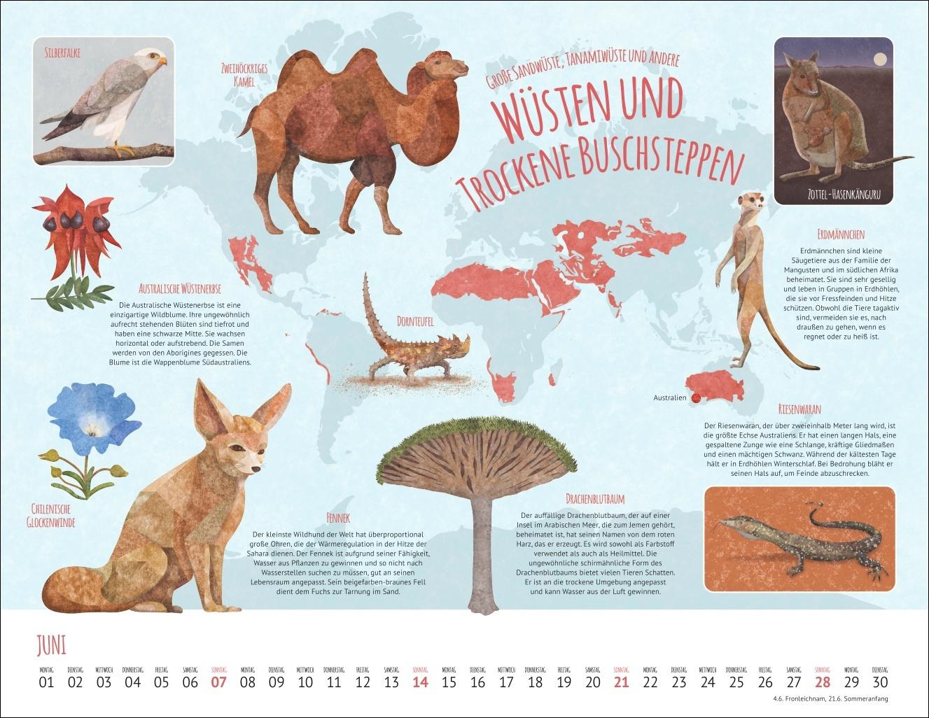 Bild: 9783839902936 | Wo Tiere und Pflanzen zu Hause sind Kalender 2026 - Biome der Welt