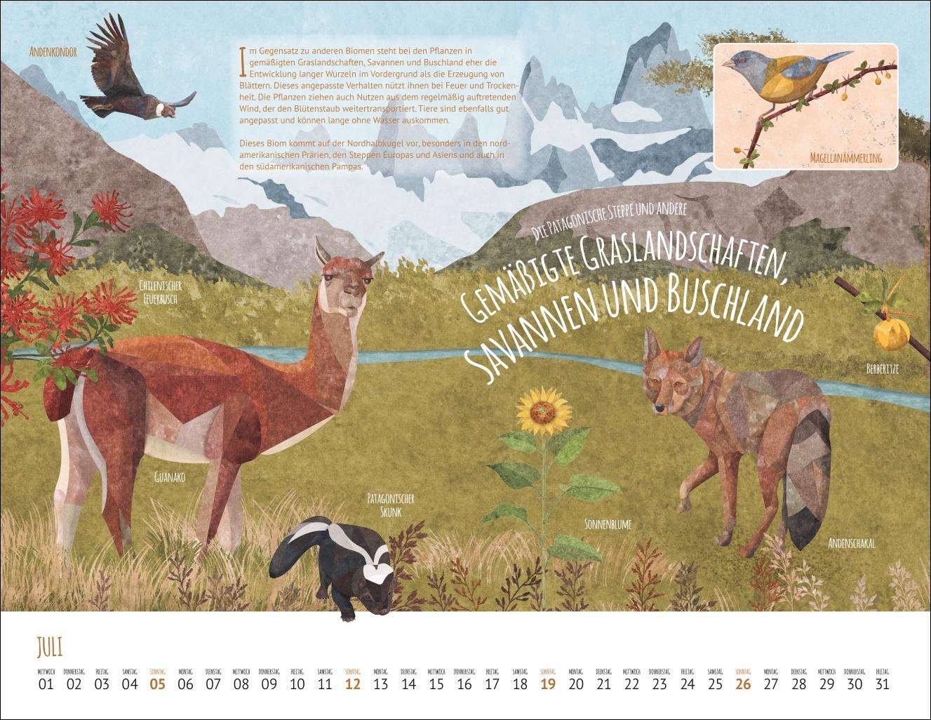 Bild: 9783839902936 | Wo Tiere und Pflanzen zu Hause sind Kalender 2026 - Biome der Welt