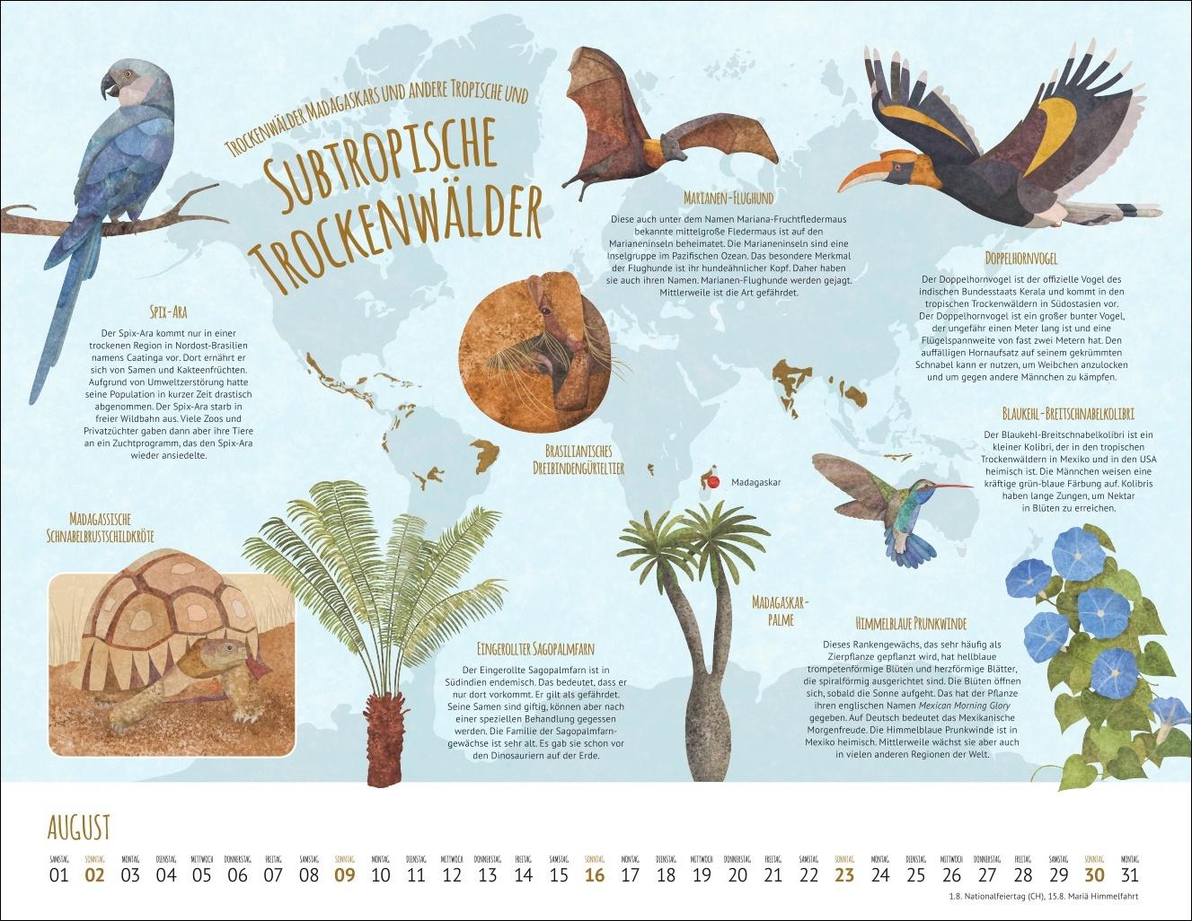 Bild: 9783839902936 | Wo Tiere und Pflanzen zu Hause sind Kalender 2026 - Biome der Welt