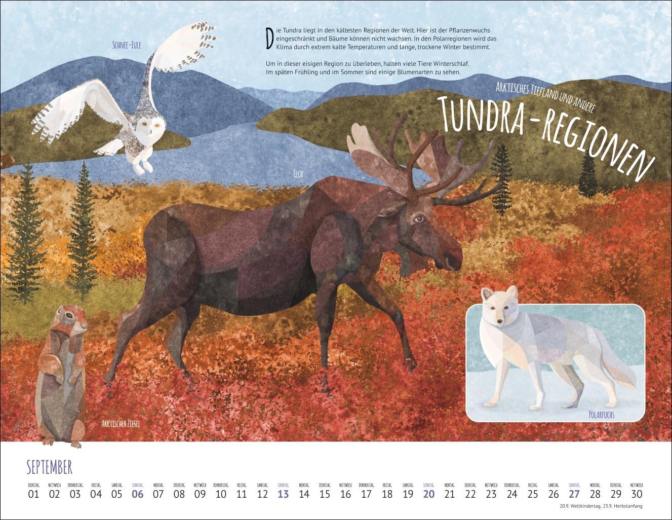 Bild: 9783839902936 | Wo Tiere und Pflanzen zu Hause sind Kalender 2026 - Biome der Welt
