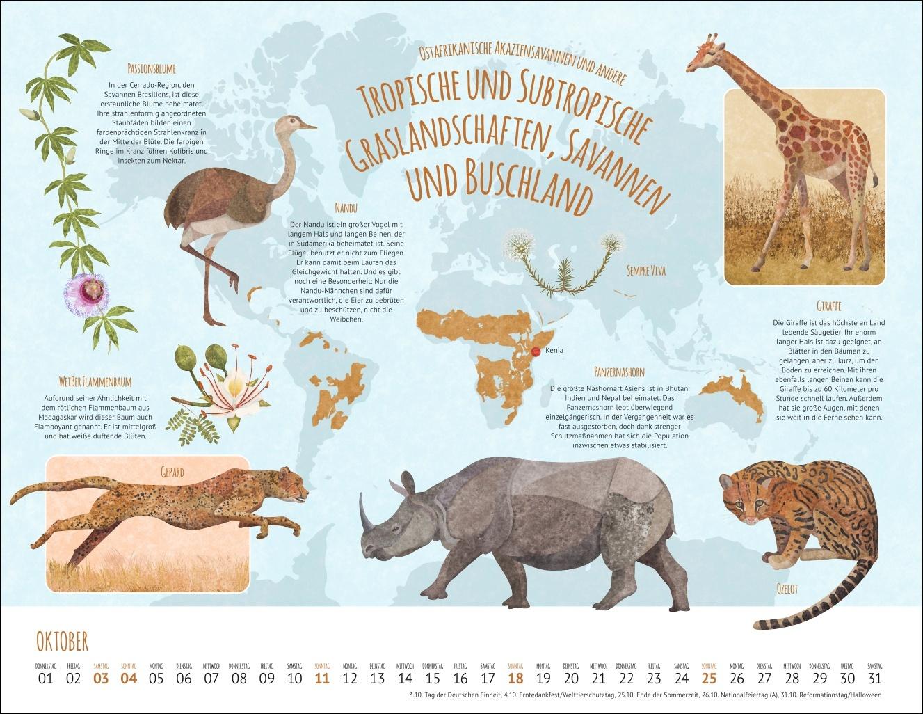 Bild: 9783839902936 | Wo Tiere und Pflanzen zu Hause sind Kalender 2026 - Biome der Welt