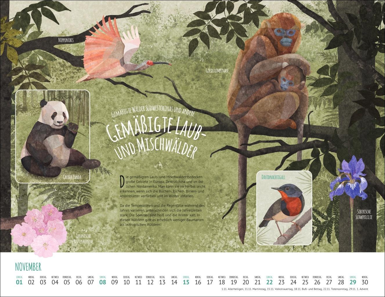 Bild: 9783839902936 | Wo Tiere und Pflanzen zu Hause sind Kalender 2026 - Biome der Welt