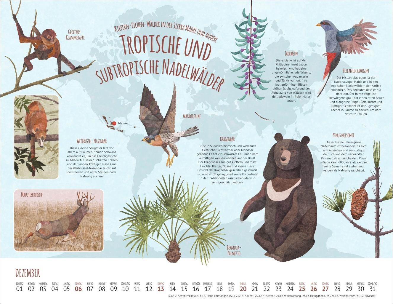 Bild: 9783839902936 | Wo Tiere und Pflanzen zu Hause sind Kalender 2026 - Biome der Welt