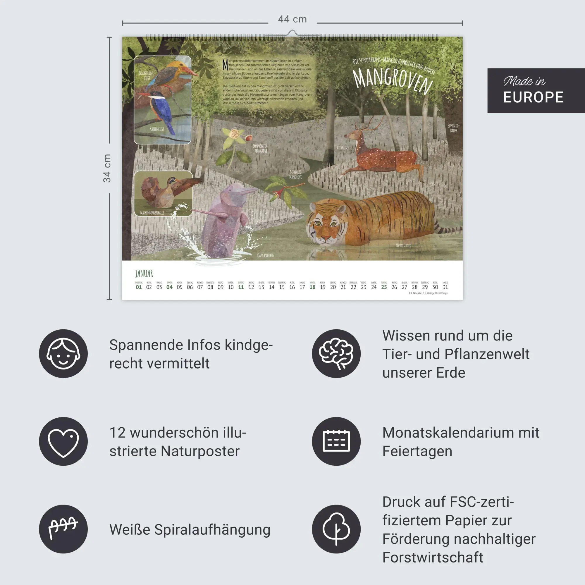 Bild: 9783839902936 | Wo Tiere und Pflanzen zu Hause sind Kalender 2026 - Biome der Welt