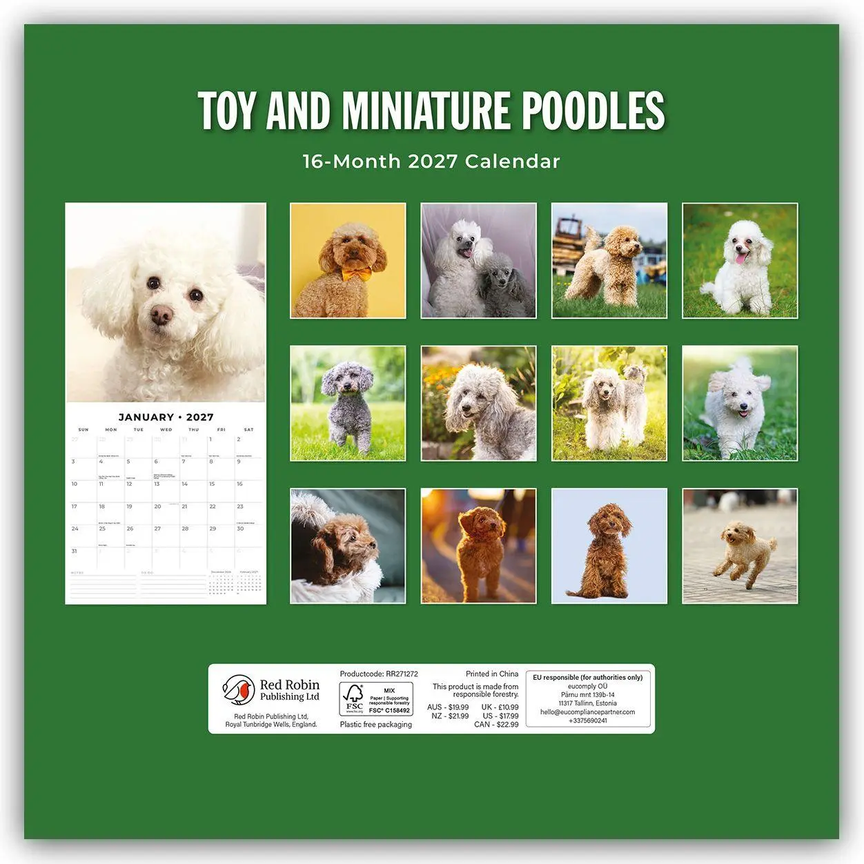 Rückseite: 9781837013036 | Toy and Miniature Poodles - Zwergpudel 2027 - 16-Monatskalender | Red