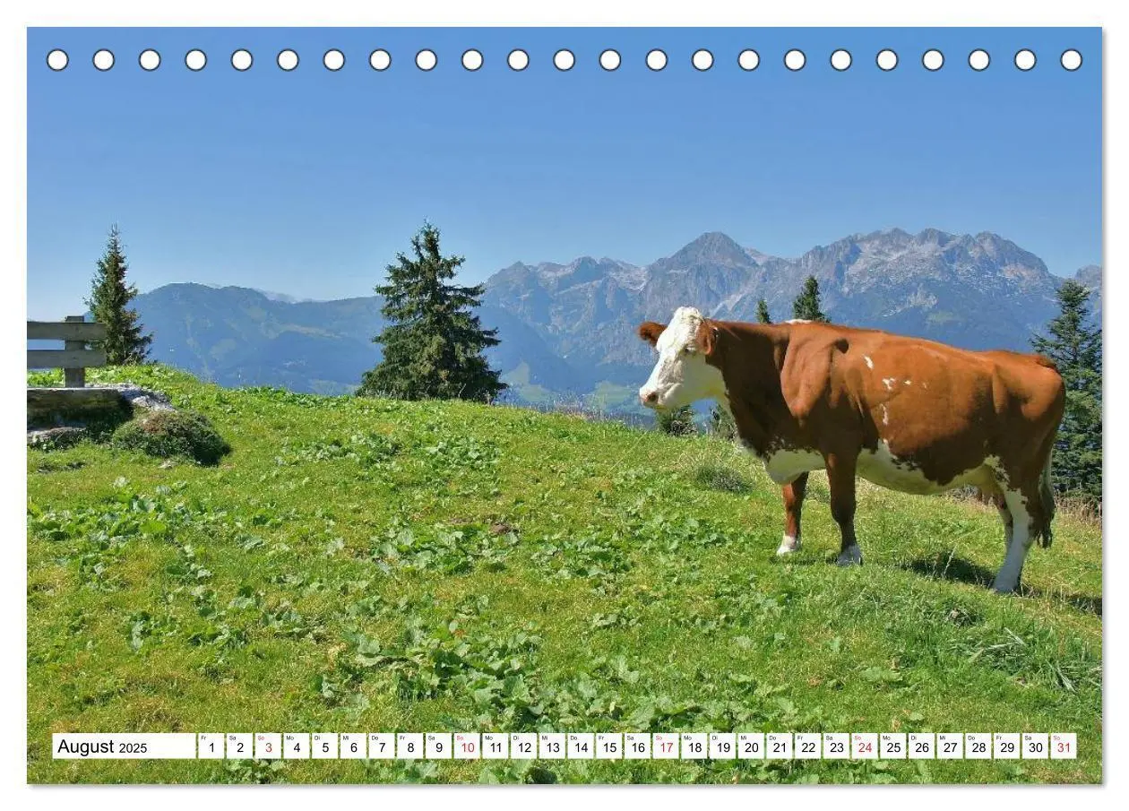 Bild: 9783435493036 | Die Alpen im Herzen von Österreich (Tischkalender 2025 DIN A5...