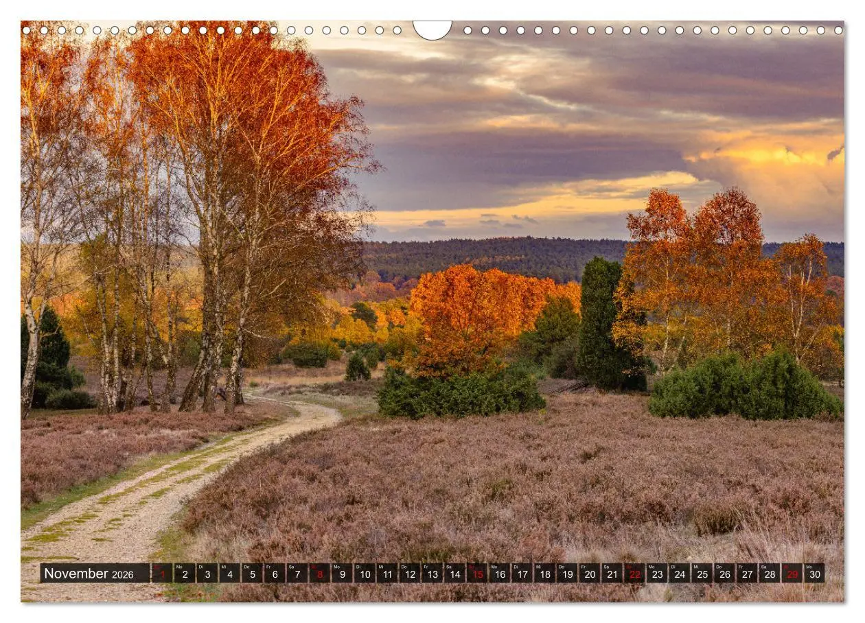 Bild: 9783457583036 | Die Lüneburger Heide - Faszination einer Naturlandschaft...
