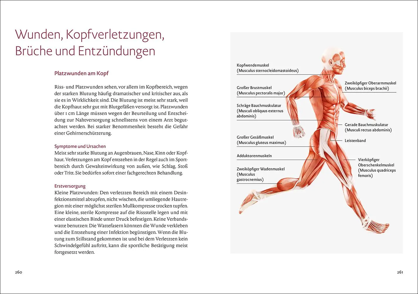 Bild: 9783458643036 | Bewegung | Das Lebenselixier für unsere Gesundheit | Müller-Wohlfahrt