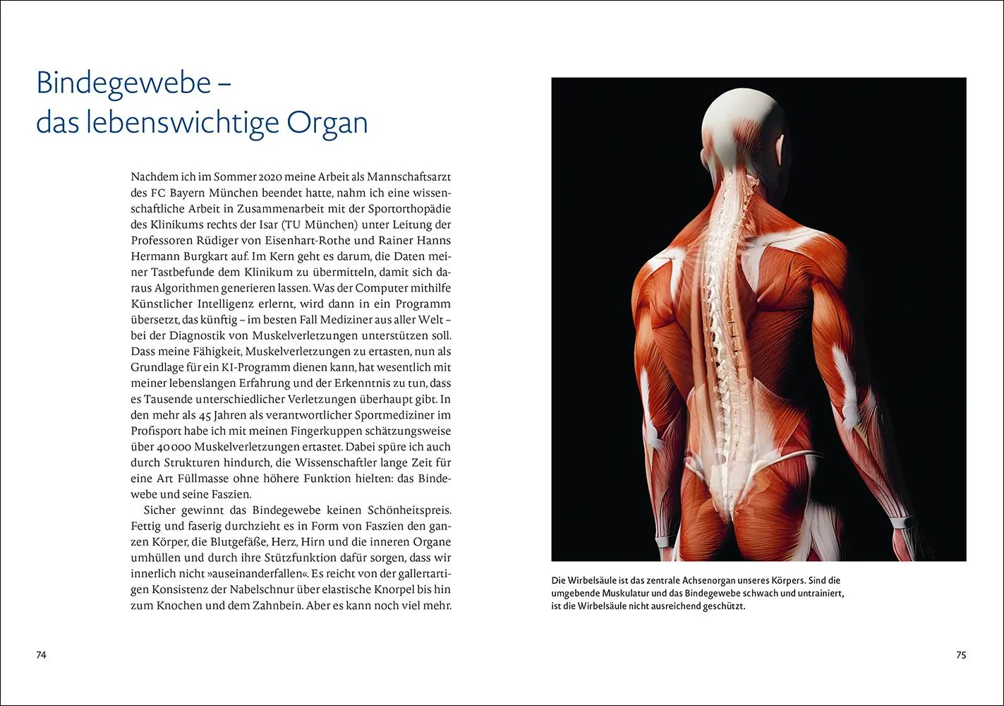 Bild: 9783458643036 | Bewegung | Das Lebenselixier für unsere Gesundheit | Müller-Wohlfahrt