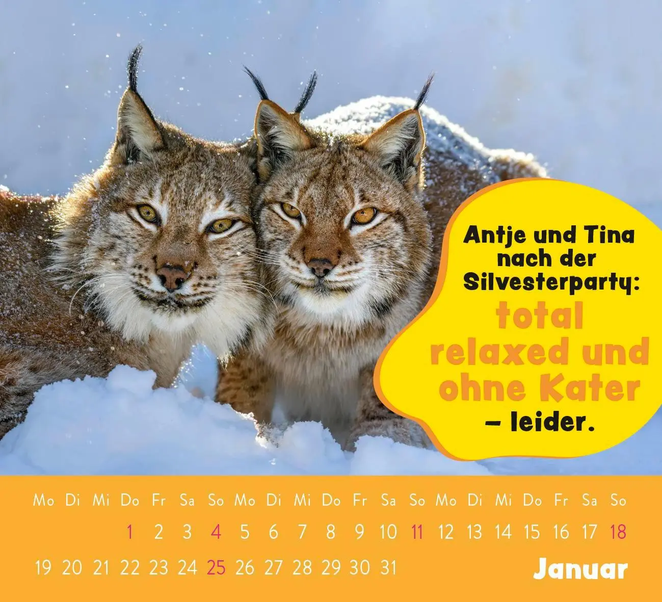 Bild: 4036442013236 | Mini-Kalender 2026: Der kleine Tierisch gechillt! Kalender | Kalender
