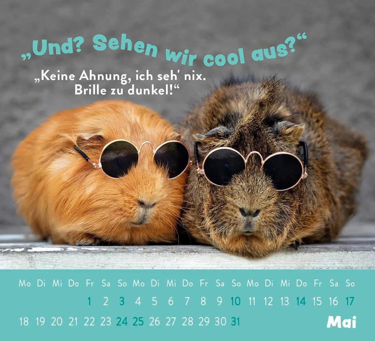 Bild: 4036442013236 | Mini-Kalender 2026: Der kleine Tierisch gechillt! Kalender | Kalender