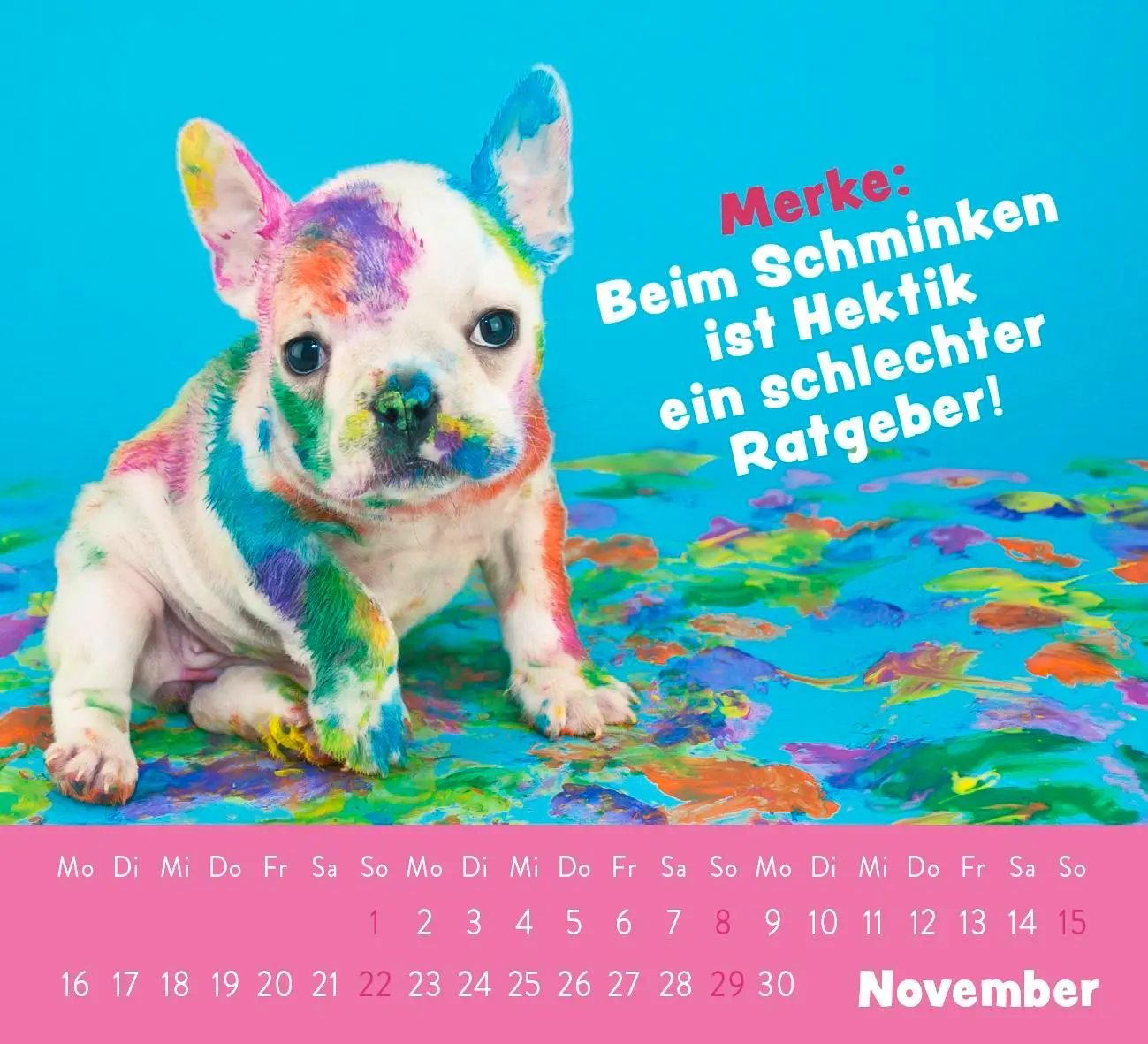 Bild: 4036442013236 | Mini-Kalender 2026: Der kleine Tierisch gechillt! Kalender | Kalender