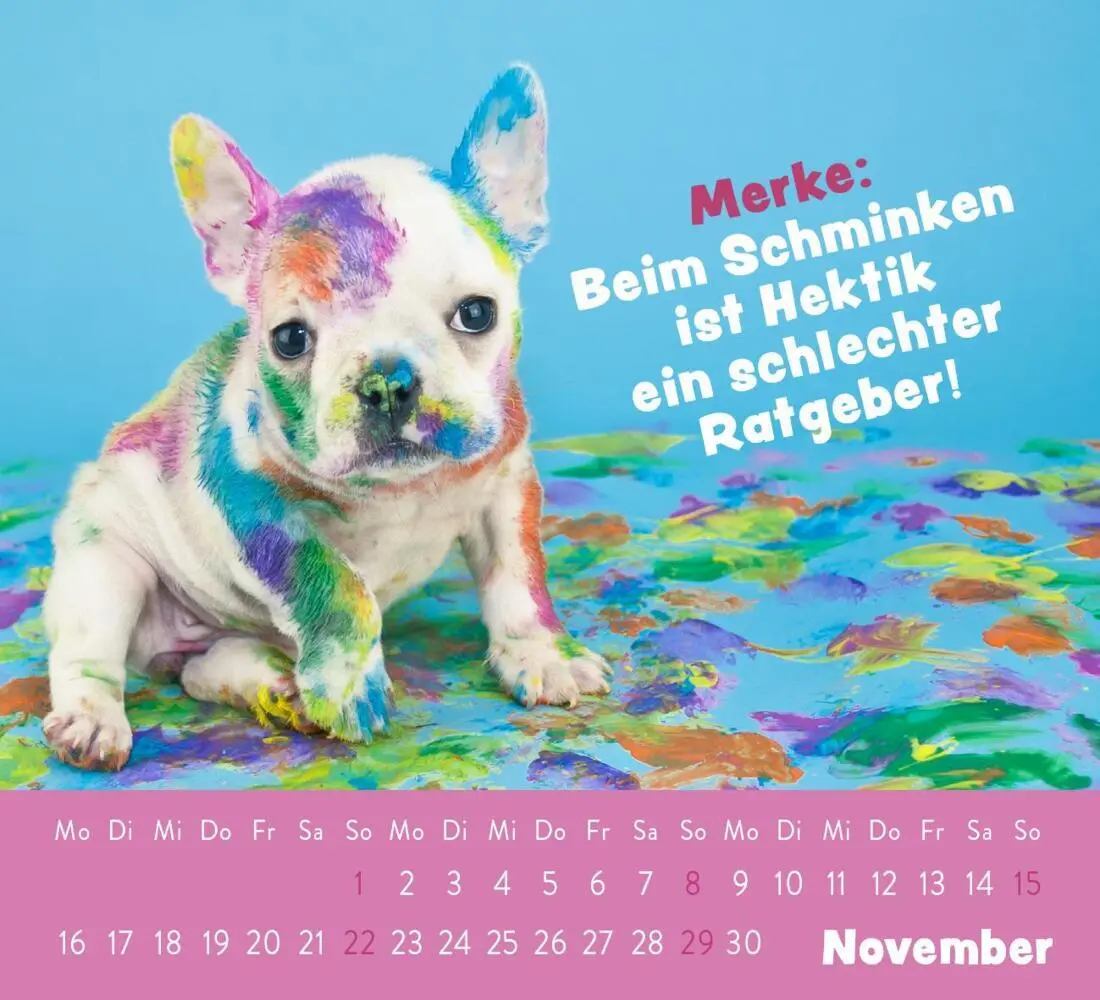 Bild: 4036442013236 | Mini-Kalender 2026: Der kleine Tierisch gechillt! Kalender | Verlag