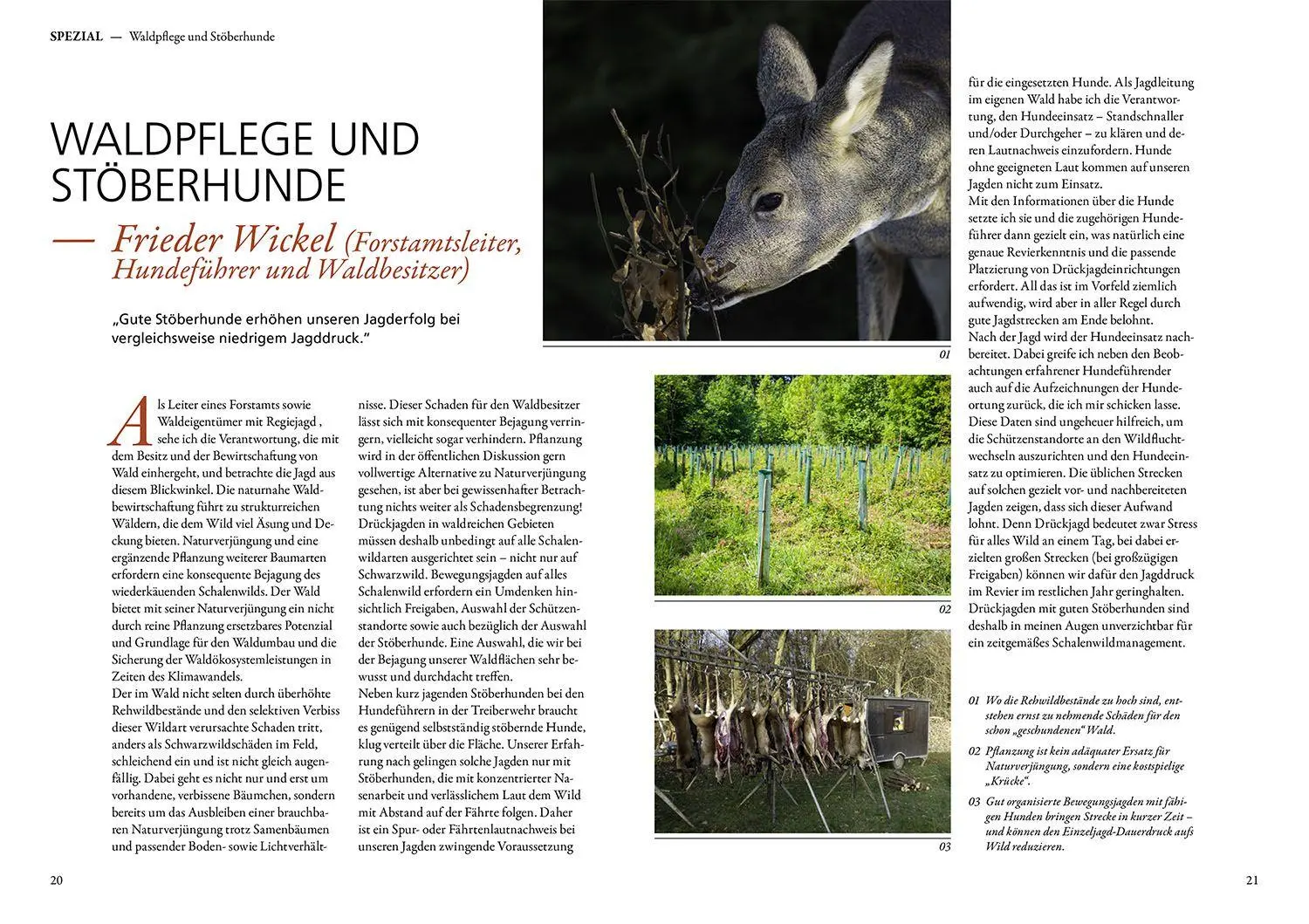 Bild: 9783440183236 | Jagen mit Stöberhunden | Hannah Mittner (u. a.) | Buch | 168 S. | 2025