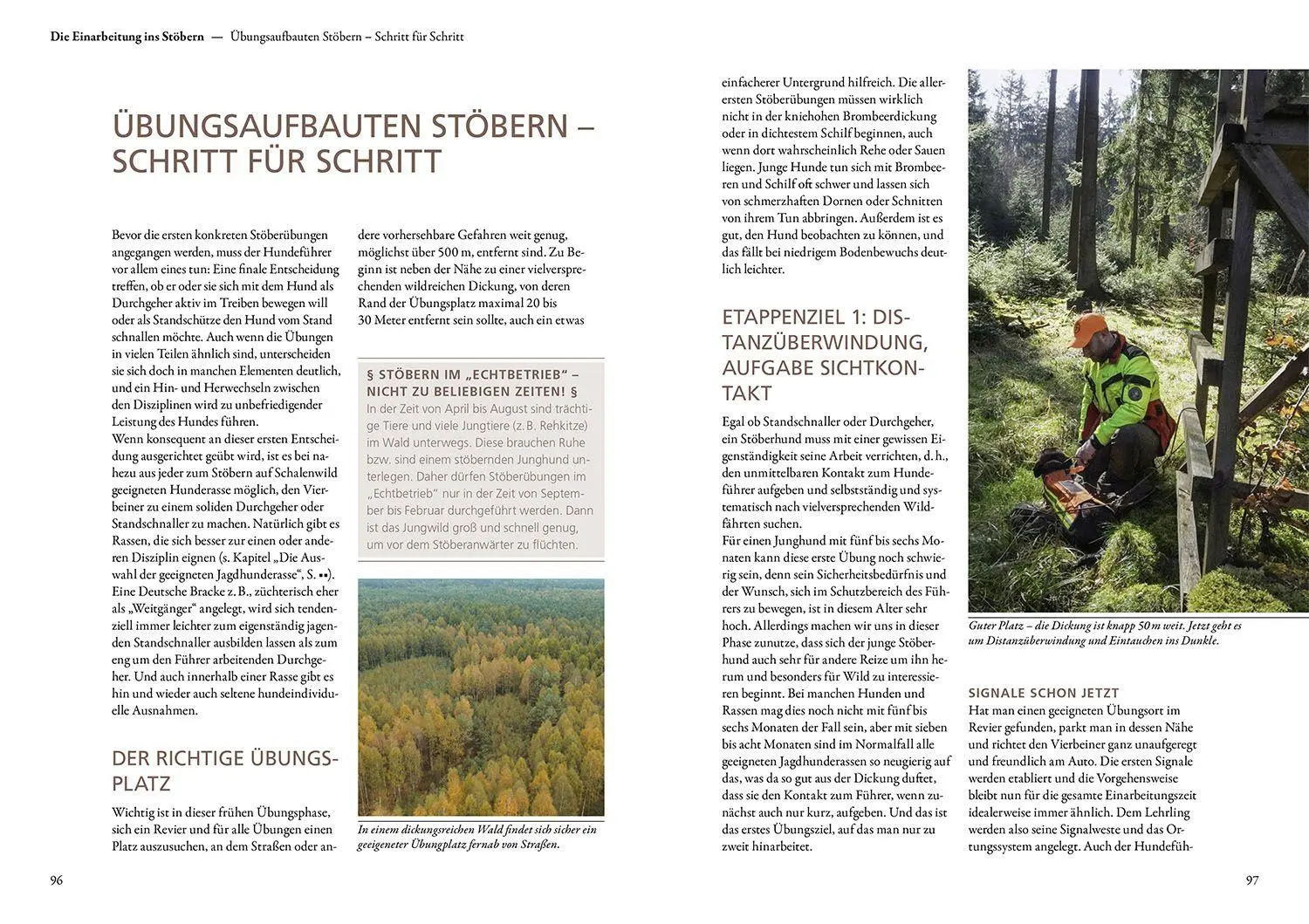 Bild: 9783440183236 | Jagen mit Stöberhunden | Hannah Mittner (u. a.) | Buch | 168 S. | 2025