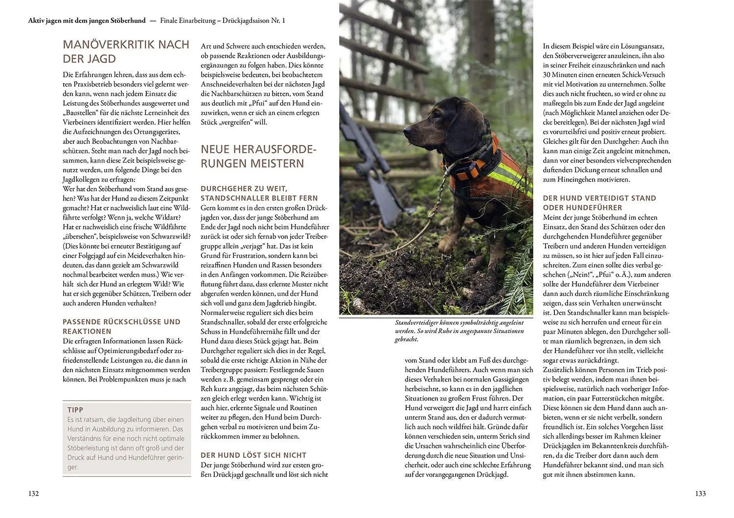 Bild: 9783440183236 | Jagen mit Stöberhunden | Hannah Mittner (u. a.) | Buch | 168 S. | 2025