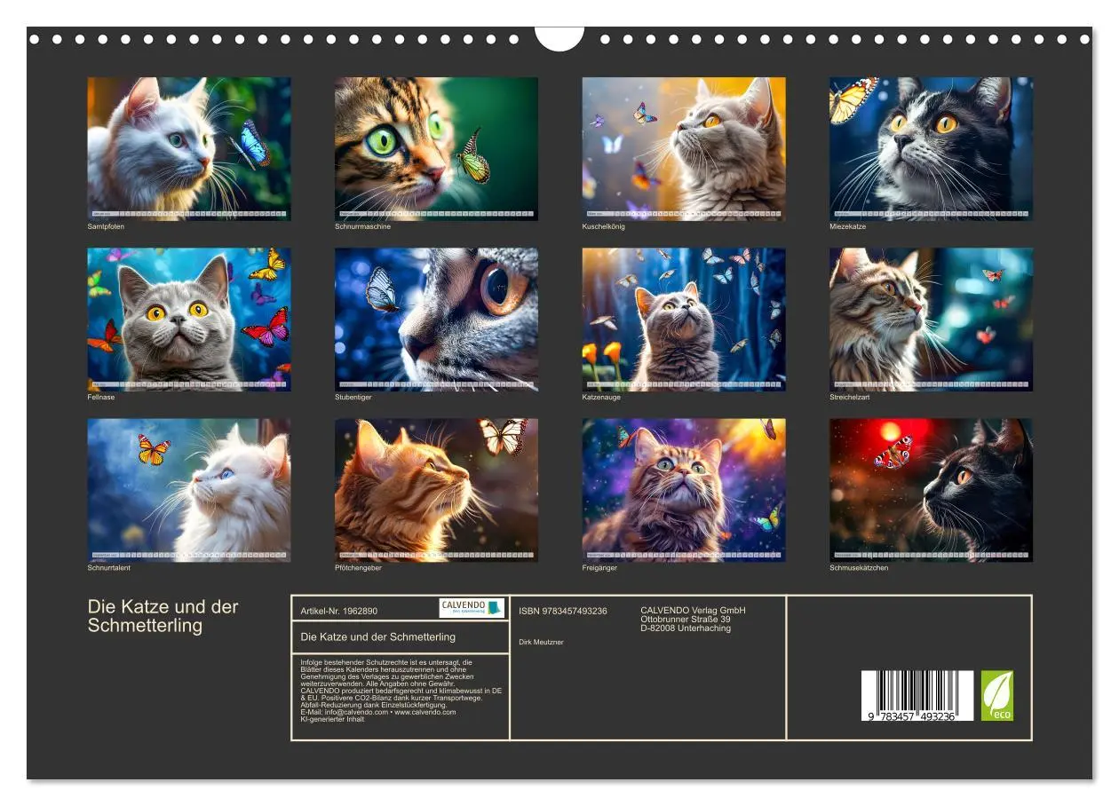 Bild: 9783457493236 | Die Katze und der Schmetterling (Wandkalender 2026 DIN A3 quer),...