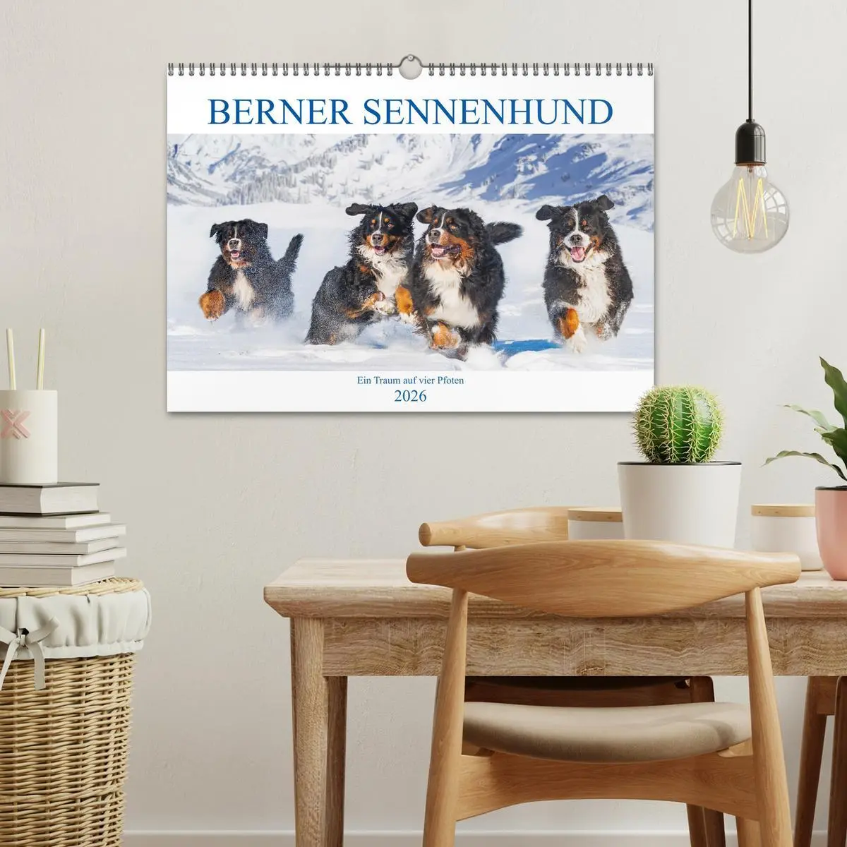 Bild: 9783457633236 | Berner Sennenhund - Ein Traum auf vier Pfoten (Wandkalender 2026...