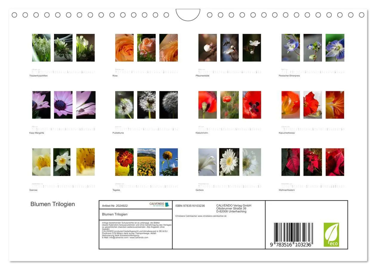 Bild: 9783516103236 | Blumen Trilogien (Wandkalender 2026 DIN A4 quer), CALVENDO...