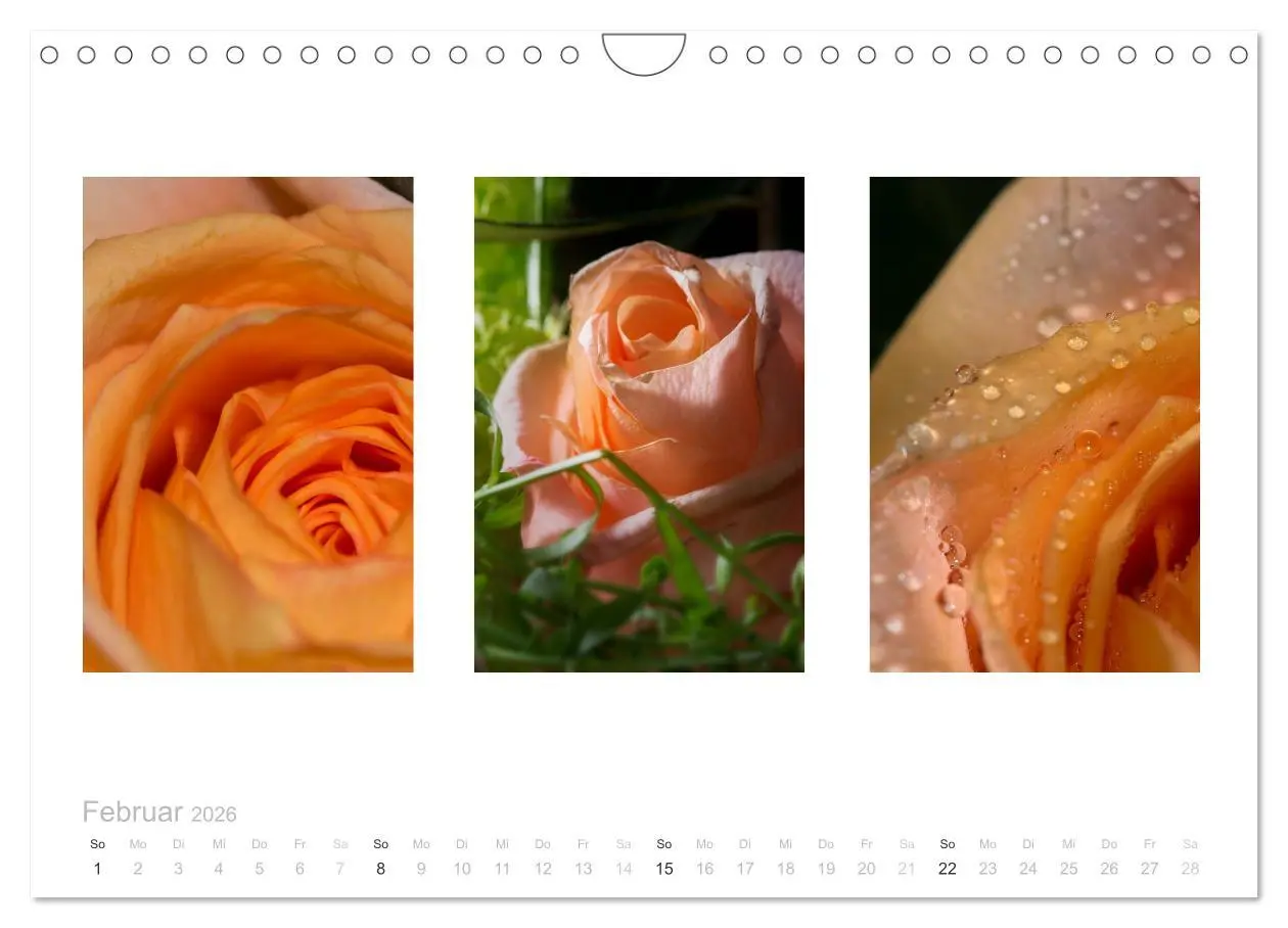 Bild: 9783516103236 | Blumen Trilogien (Wandkalender 2026 DIN A4 quer), CALVENDO...