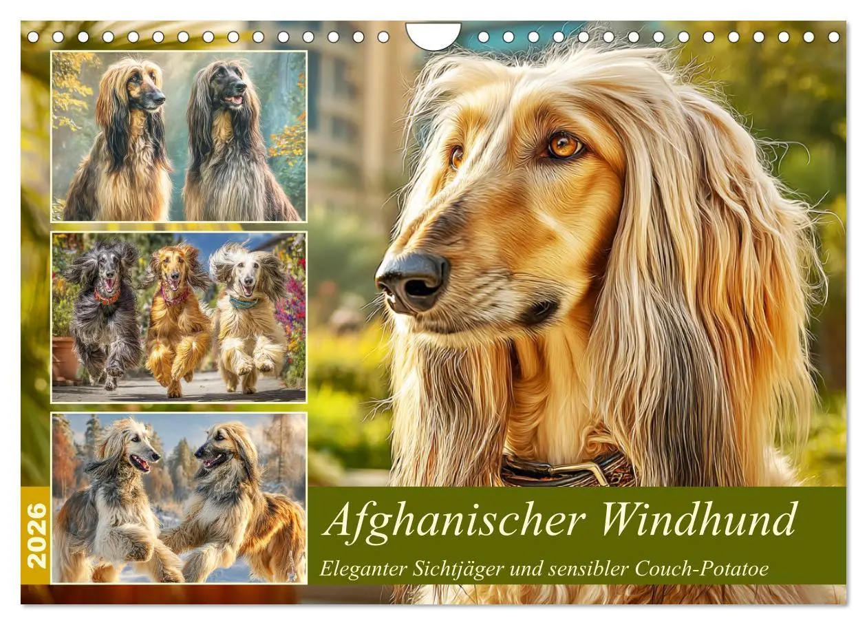 Cover: 9783516583236 | Afghanischer Windhund. Eleganter Sichtjäger und sensibler...