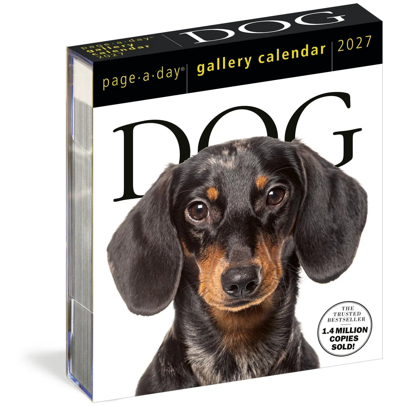 Cover: 9781523533336 | Dog Page-A-Day® Gallery Calendar 2027 | An Elegant Canine Celebration